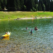 The swimming lake is popular in the summer